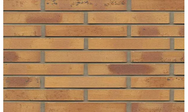 Кирпич клинкерный Muhr 06 K Hellbraun-bunt Kohle гладкий, 290х90х40 мм