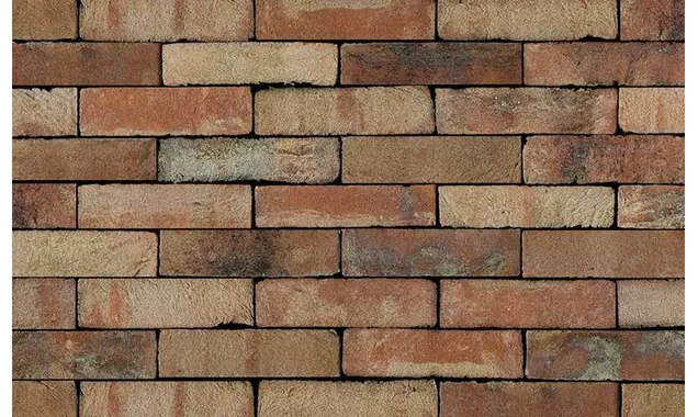 Кирпич S.Anselmo Superior Line Ecocolor, Selmo, 250х120х55 мм
