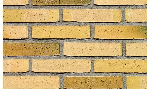Кирпич облицовочный Terca Teunisbloem, 210х100х50 мм