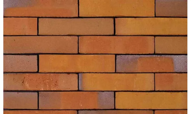 Кирпич облицовочный Terca Goudsbloem, 210х100х50 мм