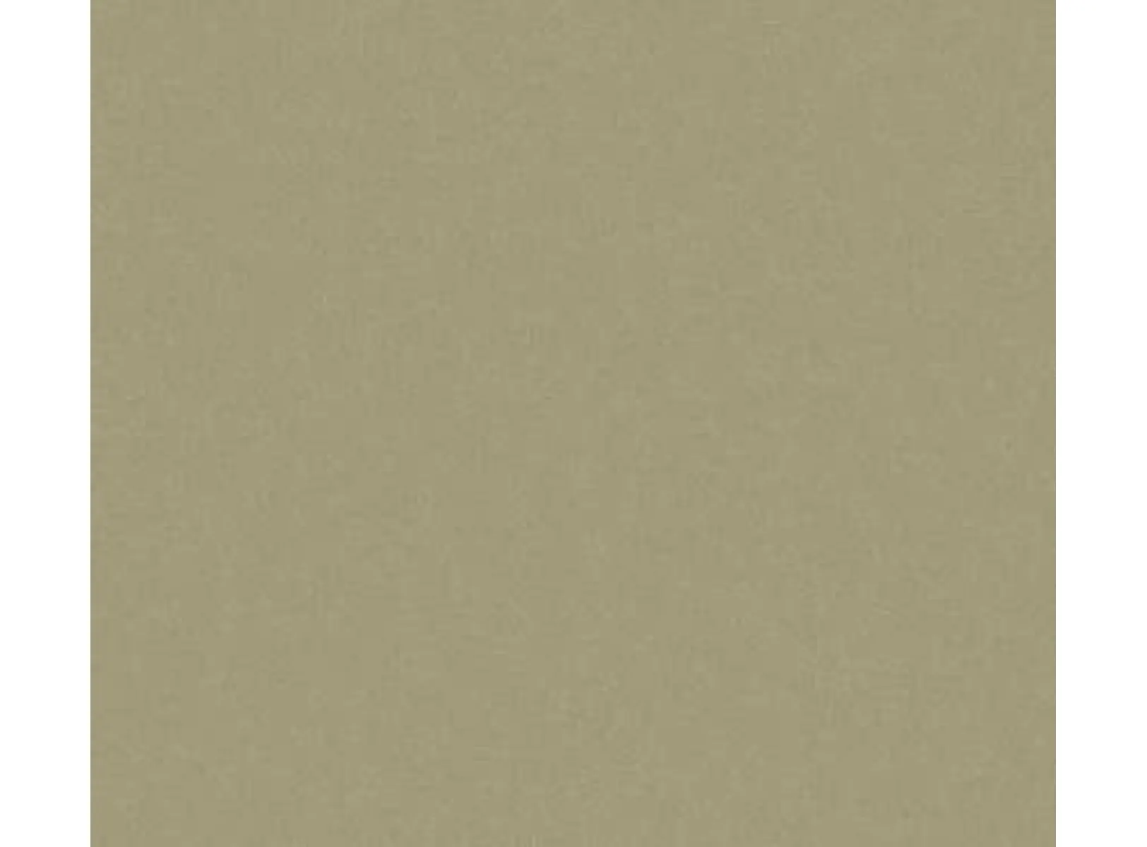 Фиброцементный сайдинг Cedral Click Smooth (гладкий) С58 12х190х3600