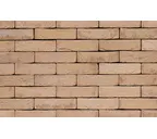 Кирпич S.Anselmo Superior Line Venezia, Selmo, 240х115х70 мм