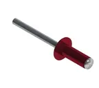 Заклепка вытяжная 3,2х8 RAL 3005 (ал/ст)