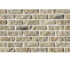 Декоративный кирпич White Hills Брюгге брик Design цвет 319-10
