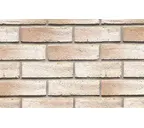 Кирпич клинкерный Muhr 37_06 Serie mondan гладкий, 240х55х71 мм