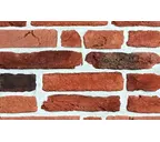 Декоративный кирпич REDSTONE Царский кирпич CA-66/R, 250х58 мм