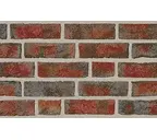 Кирпич Roben Formback buntgeflammt, 240х54х71 мм