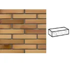 Кирпич клинкерный Muhr 06EG Hellbraun-bunt Edelglanz рустик, 290х90х52 мм