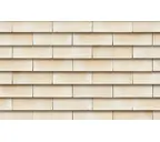 Терракотовые панели для фасада и кровли S.Anselmo Skin GLB, экструзия, 500*220*40 мм