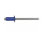 Заклёпка вытяжная Daxmer 4,8х12 RAL 5002 (10х1000 шт) ал/ст