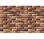 Декоративный кирпич White Hills Тилл цвет 455-40, 25 см