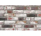 Кирпич облицовочный Roben Geestbrand grauweiss-bunt , 240х115х72 мм