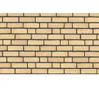 Плитка Randers Tegl Classica RT215, 215х65х20 мм