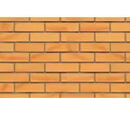Кирпич клинкерный Muhr 02 Gelb Bunt гладкий, 250х120х65 мм