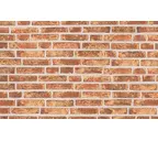 Кирпич облицовочный Randers Tegl Rustica RT452, 220х50х65 мм