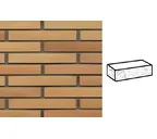 Кирпич клинкерный Muhr 06 Hellbraun-bunt рустик, 290х90х40 мм