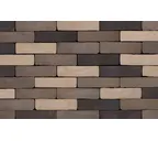 Кирпич S.Anselmo Custom blend TC, Standart, 250х60х55 мм
