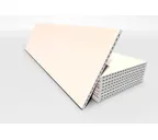 Керамогранитная плита FAVEKER GA20 для НФС, Rocks Beige, 1000*400*20 мм
