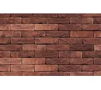 Кирпич S.Anselmo Superior Line Praga, Selmo, 250х120х55 мм