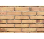 Кирпич клинкерный Muhr 23 Morgenrote Wasserstrich, 240х71х50 мм
