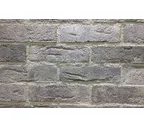 Декоративный кирпич REDSTONE Dover frost DF-72/R, 240х71 мм