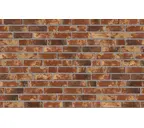 Кирпич облицовочный Randers Tegl Rustica RT453, 220х105х65 мм
