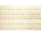 Кирпич клинкерный Terca Nordic Klinker Kuura, 250х65х65 мм