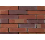 Кирпич облицовочный Terca Passiebloem, 210х100х50 мм