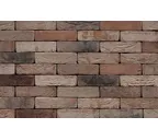 Кирпич S.Anselmo Custom blend ST, Selmo, 250х60х55 мм