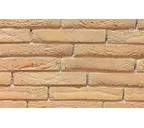 Кирпич облицовочный Terca Tolus Mint Geel, 238х90х40 мм