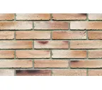 Кирпич клинкерный Muhr 37_06 K Serie mondan Kohle Wasserstrich, 240х52х52 мм