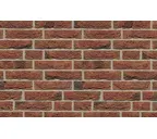 Кирпич облицовочный Muhr Nr 1, Bronze-bunt geflammt, 210х100х50 мм