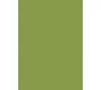 Плита ЛДСП Egger 16х2800х2070 U626 Зеленый киви ST9
