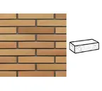 Кирпич клинкерный Muhr 06 Hellbraun-bunt рустик, 290х90х52 мм