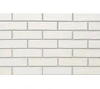 Кирпич клинкерный LHL Klinkier (CRH) BLANKA RETRO, 250х85х65 мм
