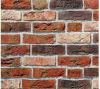 Кирпич Roben Dykbrand flaemisch-bun, 240х115х71 мм