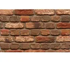 Кирпич облицовочный Muhr Nr 35, Holstein Barock gerumpelt, 210х100х65 мм