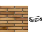 Кирпич клинкерный Muhr 06EG Hellbraun-bunt Edelglanz готик, 290х90х52 мм
