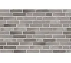 Плитка Randers Tegl Innova RT603, 228х54х35 мм