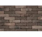 Кирпич S.Anselmo Custom blend LE, Selmo, 250х60х55 мм