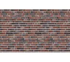 Клинкерная облицовочная плитка King Klinker King size для НФС, LF08 Coral star, 240*71*17 мм