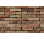 Кирпич S.Anselmo Superior Line Ecocolor, Selmo, 240х55х70 мм