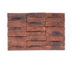 Кирпич облицовочный ENGELS Limburgs oranje bont, 209х101х50 мм