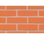 Клинкерная плитка Feldhaus Klinker NF 9 R220 terracotta liso 240х71х9 мм