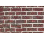 Кирпич облицовочный Terca Blauw-Rood Genuanceerd, 215х100х65 мм