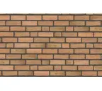 Кирпич облицовочный Randers Tegl Classica RT433, 215х102х65 мм