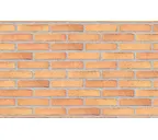 Плитка Randers Tegl Prima RT449, 228х54х35 мм