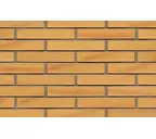 Кирпич клинкерный Muhr 02 Gelb Bunt гладкий, 240х90х40 мм