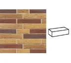 Кирпич клинкерный Muhr 19 Rubinbeige nuanciert гладкий, 290х90х52 мм