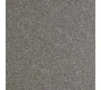 Фиброцементная панель Equitone natura N294 8х1250х2500